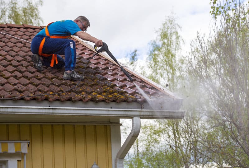 Professional Roof Cleaning